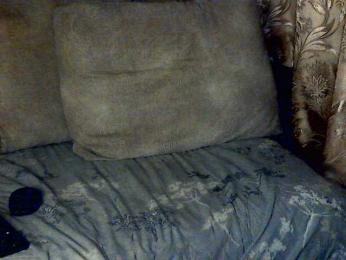 CuteGloria webcam model stream image