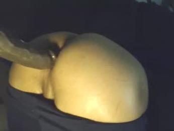 collegeitalian webcam model stream image
