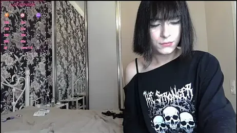 SIBBLlnGraypac webcam model stream image