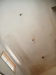 1El_King1 webcam model stream image