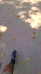 francisco1862 webcam model stream image