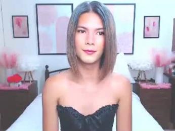 diense17 webcam model stream image