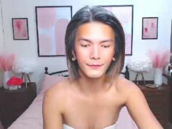 diense17 webcam model stream image