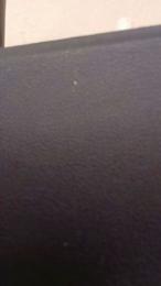 Paree21 webcam model stream image