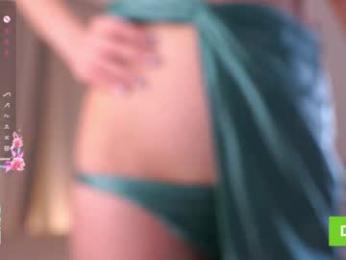 oke_doke webcam model stream image