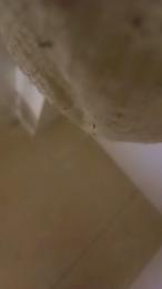 Parejasevillana webcam model stream image