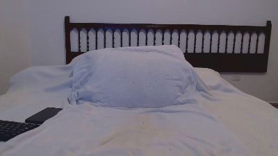 TFSur webcam model stream image