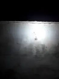 AlanMargin webcam model stream image