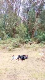 _noahdiaz webcam cam4 model stream image