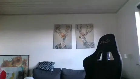 Gotta1 webcam model stream image