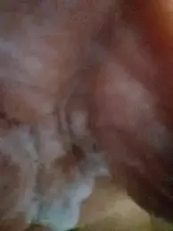 branquinho3 webcam model stream image