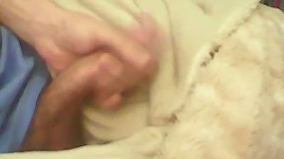 Pollaman21c webcam model stream image