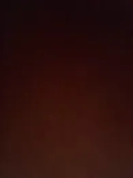 MOM-SUN-COUPLE webcam model stream image