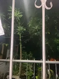 Jestebandiaz07 webcam model stream image