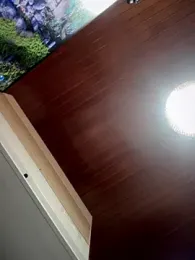 Sofia_Collins- webcam model stream image