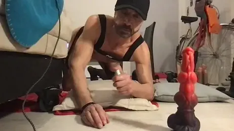 Zaak91190 webcam model stream image