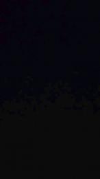 jchs53 webcam model stream image