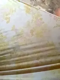 Regio_vergudo webcam model stream image