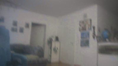 davidgeil webcam model stream image