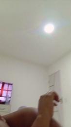 Lidiagomess webcam model stream image