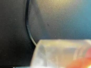 celeste_pervert webcam model stream image