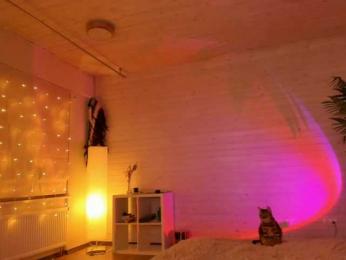 virtual_lady webcam model stream image