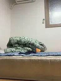 Alexkimsumin webcam stripchat model stream image