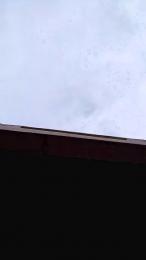 Morbo235 webcam model stream image