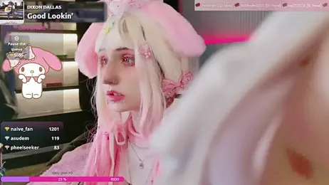 hyakkikenran webcam model stream image