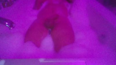 negajd webcam model stream image