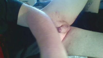 pallmee webcam model stream image