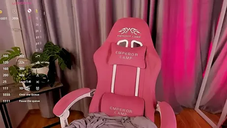 MilliMouse webcam model stream image