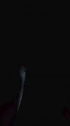 franch_xxx webcam model stream image