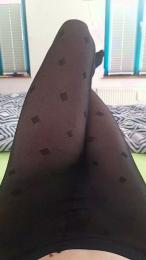 Pommernbengel webcam model stream image