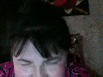 Laurador webcam model stream image