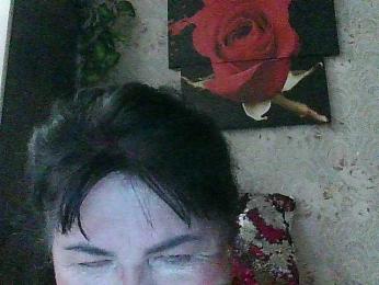 Laurador webcam model stream image