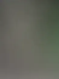 MEFUN- webcam model stream image