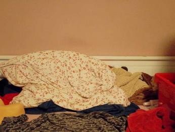 Wetgerman2 webcam bongacams model stream image