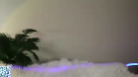 Weeedli webcam model stream image