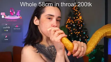 EvaCanton webcam model stream image