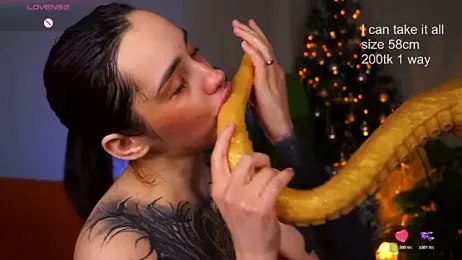 EvaCanton webcam model stream image