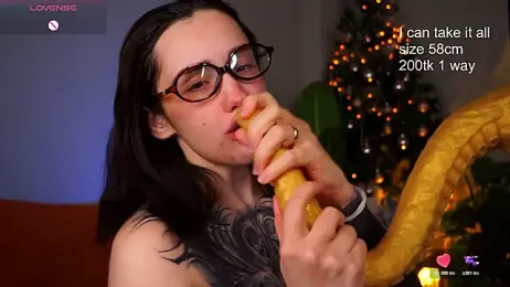 EvaCanton webcam model stream image