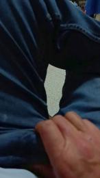 Brutuss webcam model stream image