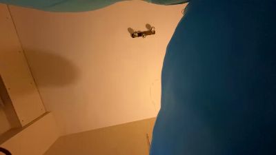 Pisciatoreserio webcam model stream image