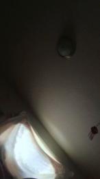 PussyLoverrxxx webcam model stream image