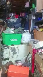 thompson3 webcam model stream image