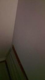 diana307 webcam model stream image