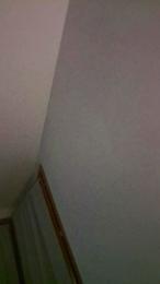 diana307 webcam model stream image