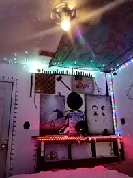 Buffshagswell webcam model stream image