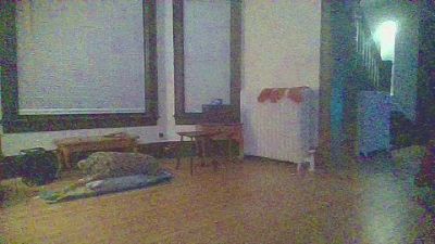 jdub420high webcam model stream image